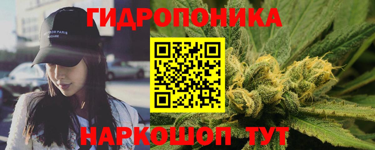 Бошки марихуана конопля  Марихуана конопля  Клин  Канабис MAZAR  Вход с VPN 